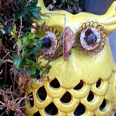 Haus Achtern Diek In Erster Reihe Am Hotel Fehmarn