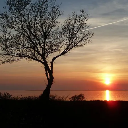 Haus Achtern Diek In Erster Reihe Am Meer