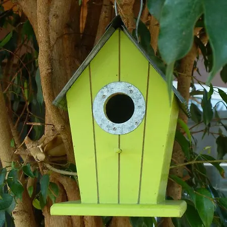 Haus Achtern Diek In Erster Reihe Am Meer Hotel Fehmarn