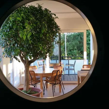 Haus Achtern Diek In Erster Reihe Am Meer